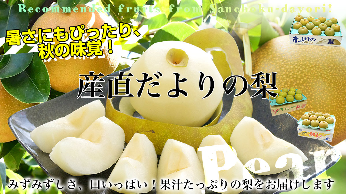 ���J�e�S���[�g�b�v