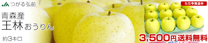 ����O�O�@����