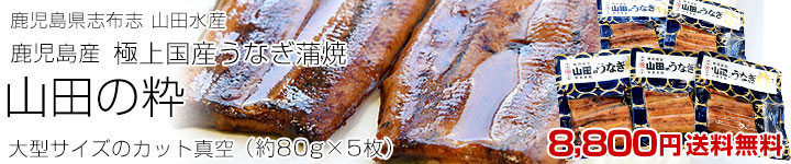 �R�c�̐�5��
