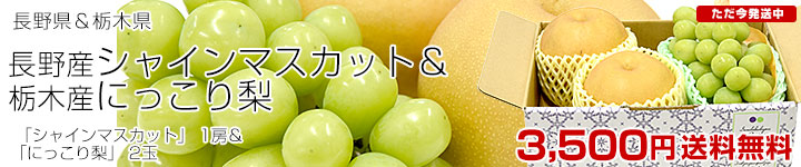 シャイン&にっこり梨
