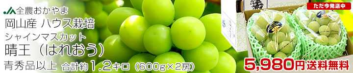 ���R�n�E�X�V���C������1.2kg