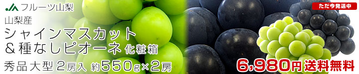 �R���I�n�V���C���s�I�[�l