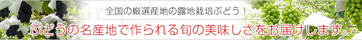 ブドウ冠
