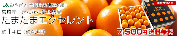 ���܂��܃G�N�Z�����g