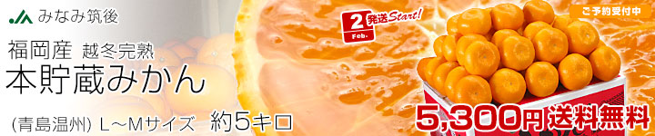 �R��݂���