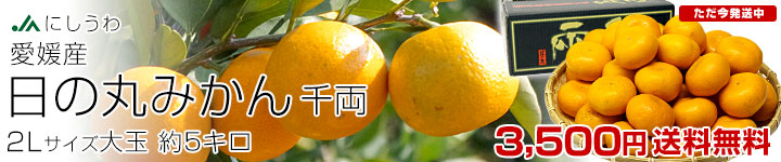 ���̊ۂ݂���2L5kg