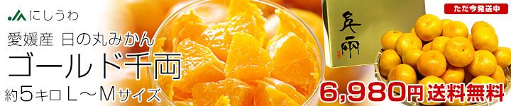 ���̊ۃS�[���h5kg