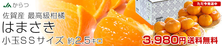 �͂܂�������2.5�L��