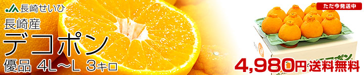 ���肹���ИI�n�f�R�|���D�i