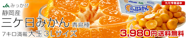 �O�����݂���3L7kg