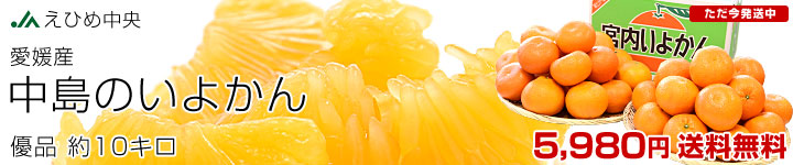 �����̂��悩��