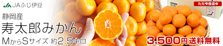 �����Y�݂���MS3�L��