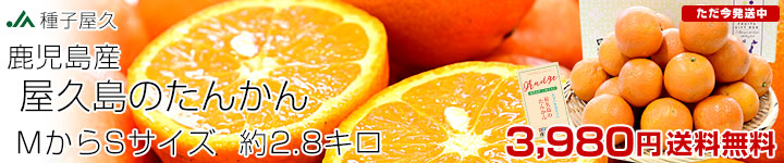 ���v�����񂩂�@2.8�L��