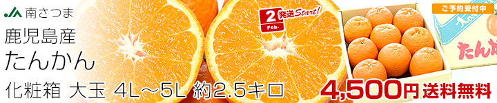 �삳�܂��񂩂�