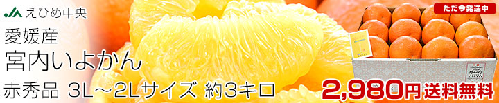 ���Ђߒ������悩��