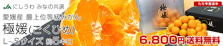 �݂���u�ɕQ�v