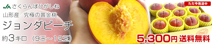 �W�����_�s�[�`3kg