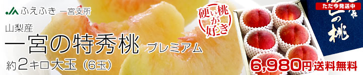 ��{�v���~�A��