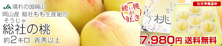 ����ׂ鑍�Ђ̓�2�L��