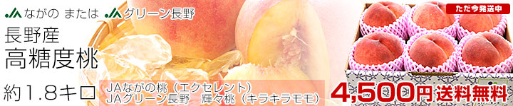 ���썂���x��1.8�L��