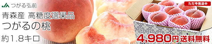 ����̓�1.8�L��