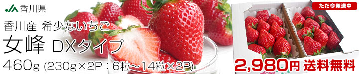 ���쏗��DX230g�~2P