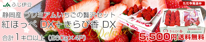 �g�ق��؂���ҍ��Z�b�g