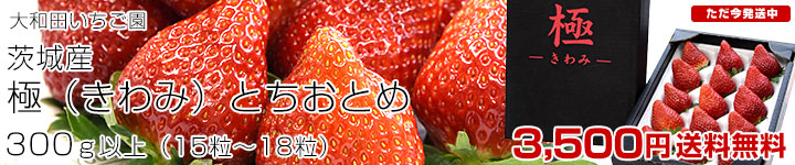 ��a�c���������̋Ɂi����݁j�Ƃ����Ƃ�