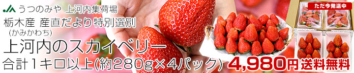 ��͓��X�J�C�x���[1kg