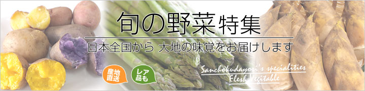 ��؃R�[�i�[