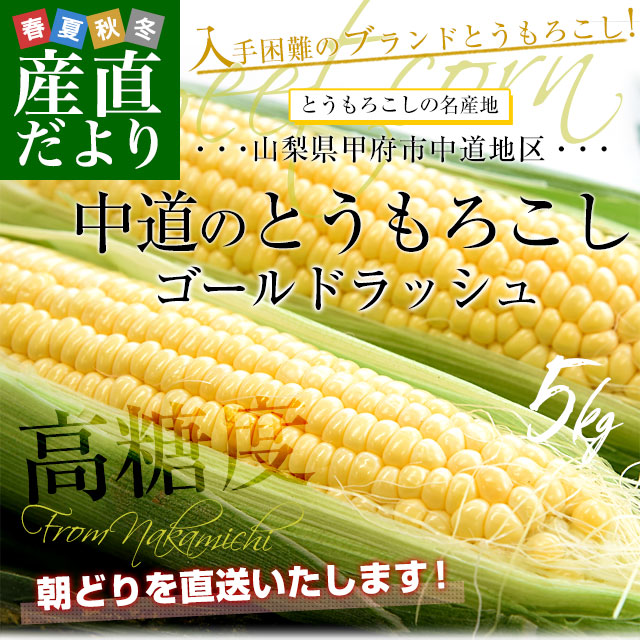 山梨県より産地直送 JAふえふき中道北支所 とうもろこし(ゴールドラッシュ) 約5キロ2Lサイズ(12本入) 送料無料 クール便
