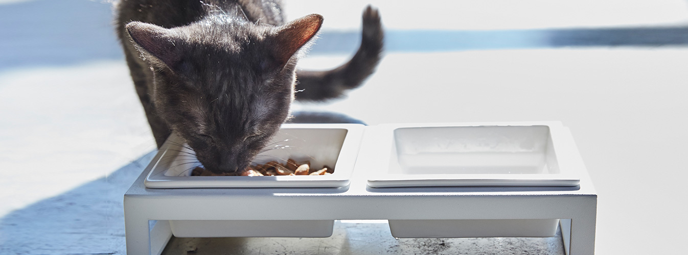 �y�b�g�p�i