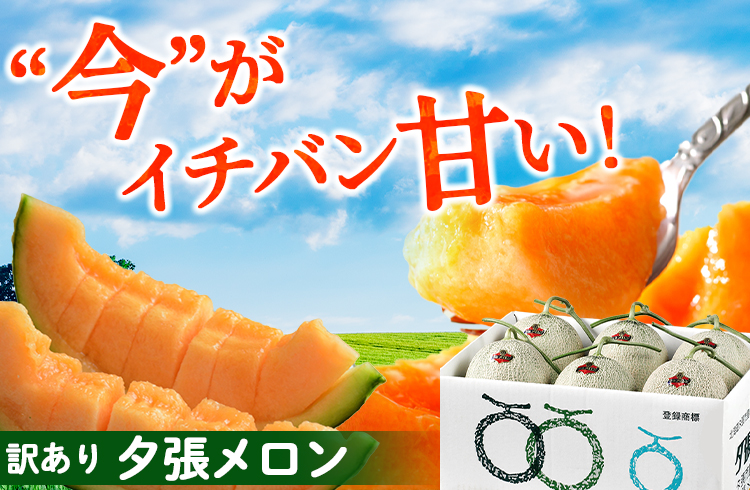 訳あり夕張メロン