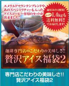 �ґ�A�C�X����