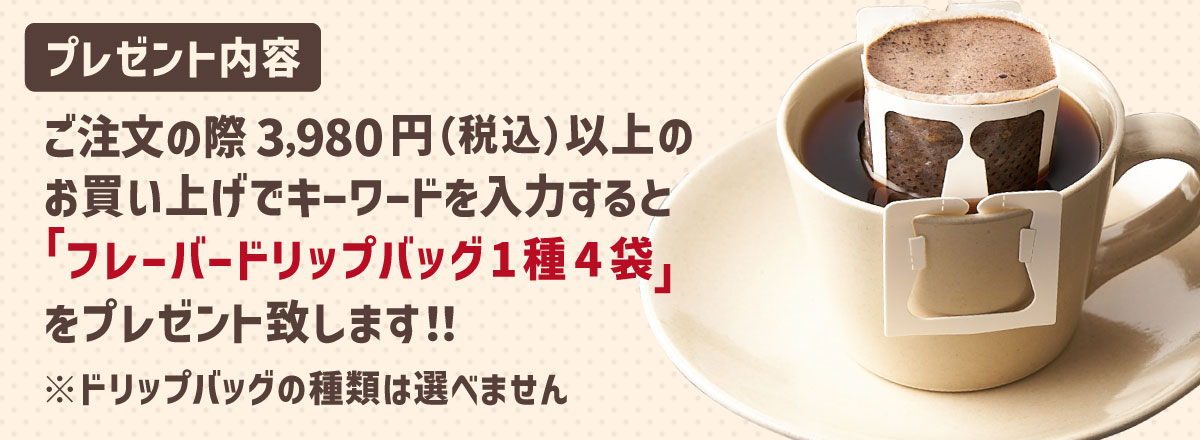 �t���[�o�[�h���b�v�o�b�O1��4�܃v���[���g