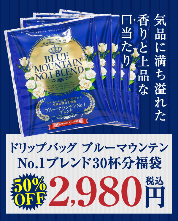 �h���b�v�o�b�O�u���[�}�E���e��No.1�u�����h30�t��