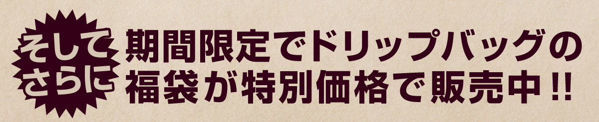 ���Ԓ��l�C�h���b�v�o�b�O�����ʉ��i��