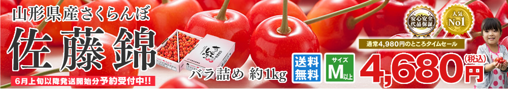 28-クーポン