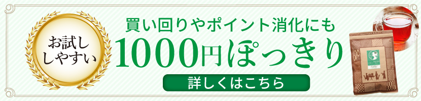 1000円ぽっきり