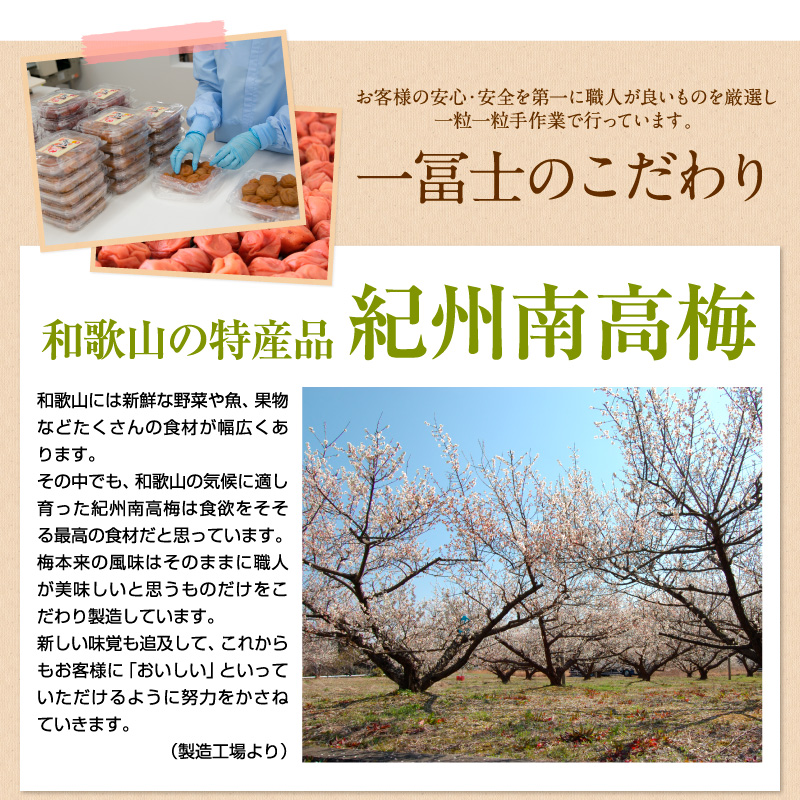 贈答 個包装 紀州南高梅