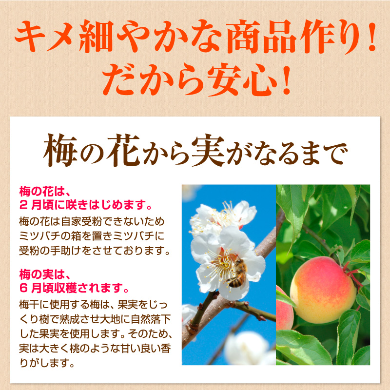 贈答 個包装 紀州南高梅