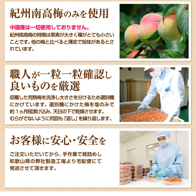 贈答 個包装 紀州南高梅