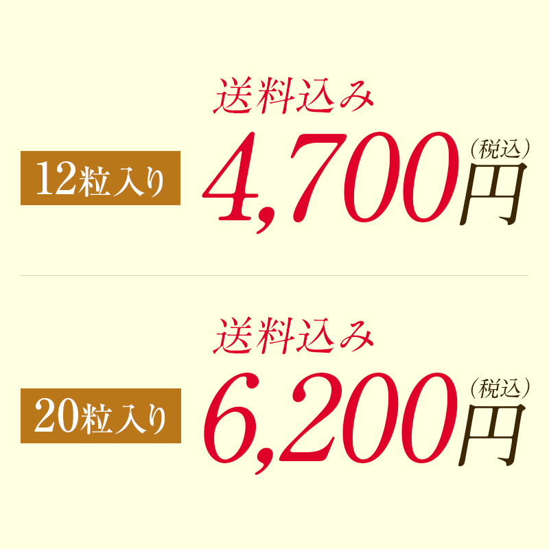 贈答 個包装 梅干し 紀州南高梅