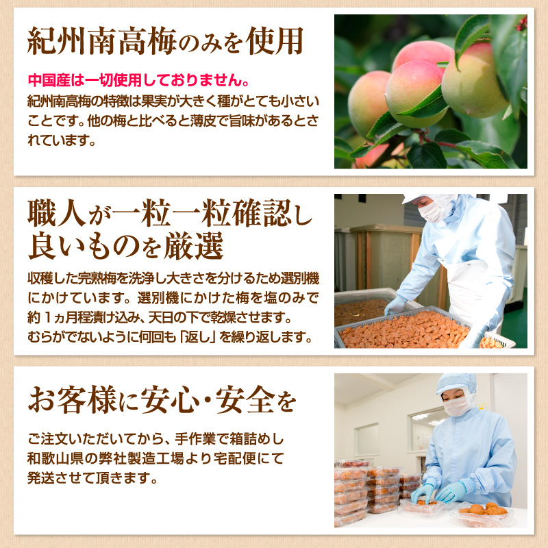 贈答 個包装 梅干し 紀州南高梅