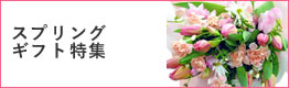 スプリングギフト