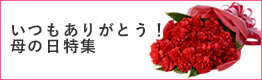 母の日