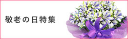 敬老の日