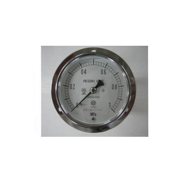 ED3487454 DVU3/8-100:0.3/-0.1MPA 第一計器製作所 IPT一般連成計 耐振用 DVU3/8100:0.3/0.1MPA