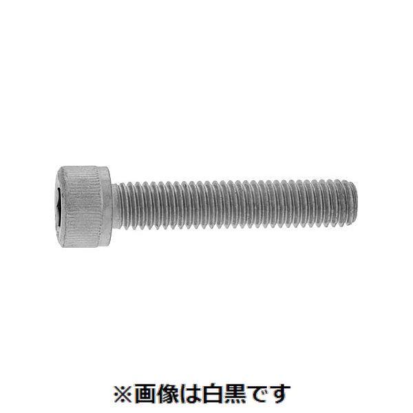 【商品説明】サンコーインダストリー株式会社 4547809350784 三価ホワイト 10．9CAP全ネジ 12X120X120
