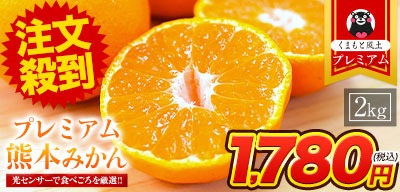 産地直送 通販 みかん・柑橘類 選び方/《公式》くまもと風土/お